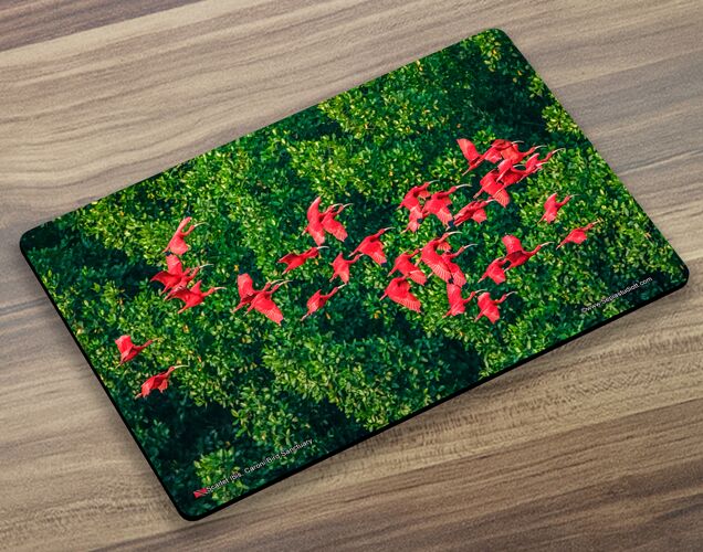 Placemat (BIrd) Scarlet Ibis in Flight