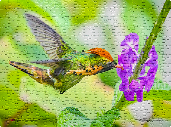 Jigsaw Puzzle (252pcs) Digital Art Tufted Coquette Hummingbird