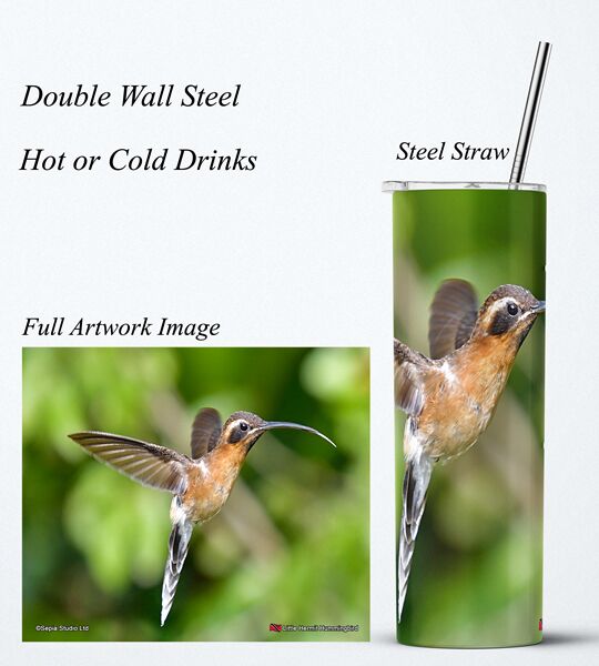 Steel Tumbler 20oz ( Hummingbird ) Little Hermit