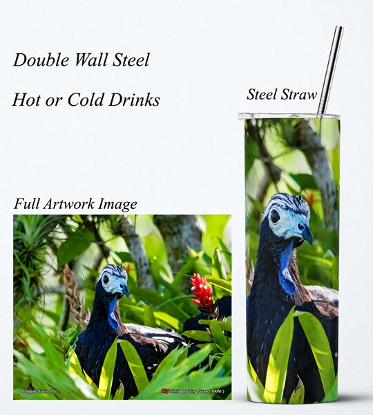 Steel Tumbler 20oz ( Bird ) Trinidad Piping Guan (PAWI)
