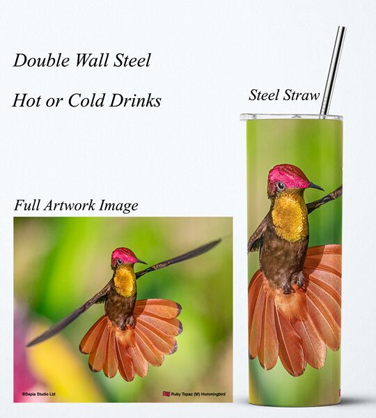Steel Tumbler 20oz ( Hummingbird ) Ruby Topaz