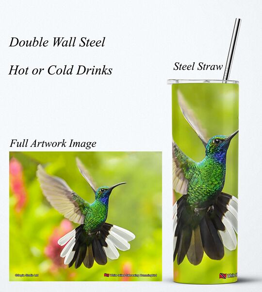 Steel Tumbler 20oz ( Hummingbird ) White Tailed Sabrewing